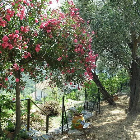 Casa Caledonia 330s * Molini (Liguria)